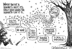 OPTIMISM AFTER IRAN HORNET NEST STRIKE by Joe Heller