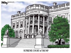 SUPREME COURT OF TRUMP by Bill Day