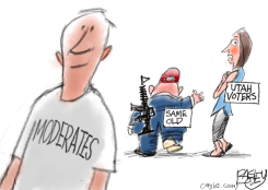 MODERATES AND SAME OLD UTAH VOTERS by Pat Bagley