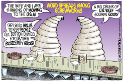 SCREWWORMS DISCUSS MOVE TO USA by Monte Wolverton