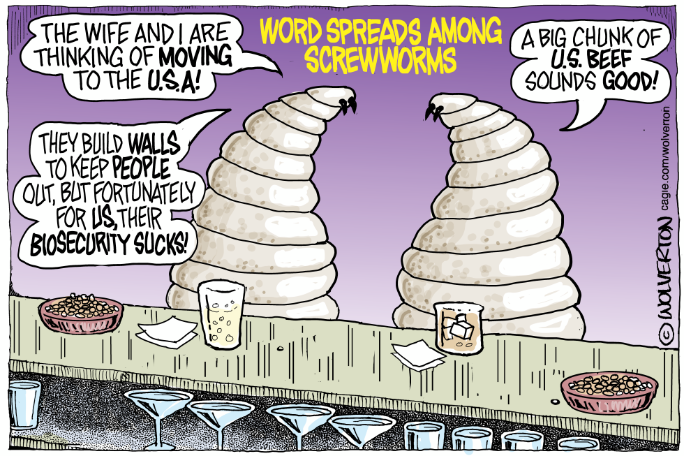 Screwworms Discuss Move to USA