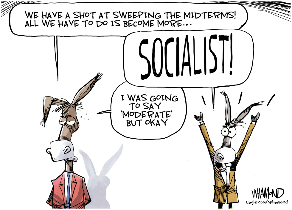 Democrats Debate Socialist Midterm Strategy