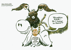 PLATNER HANGS FROM DEMOCRATIC DONKEY by Jimmy Margulies