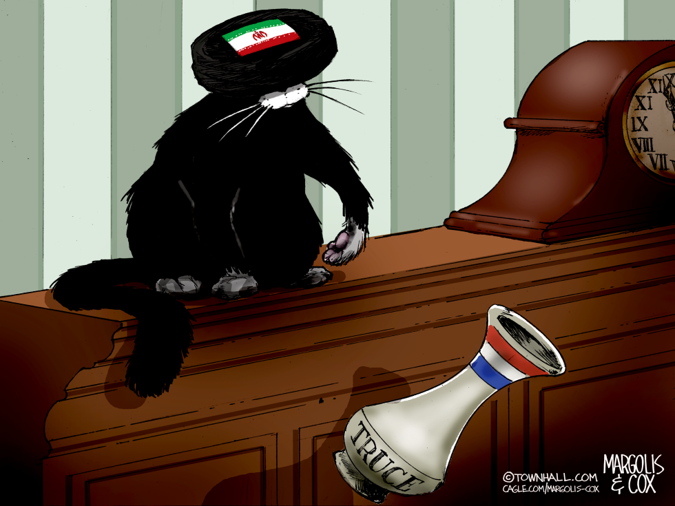 Iran Flag Cat Knocks Over Fragile Truce Vase