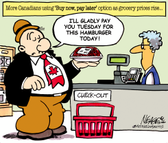 CANADIANS USING BUY NOW PAY LATER FOR GROCERIES by Steve Nease