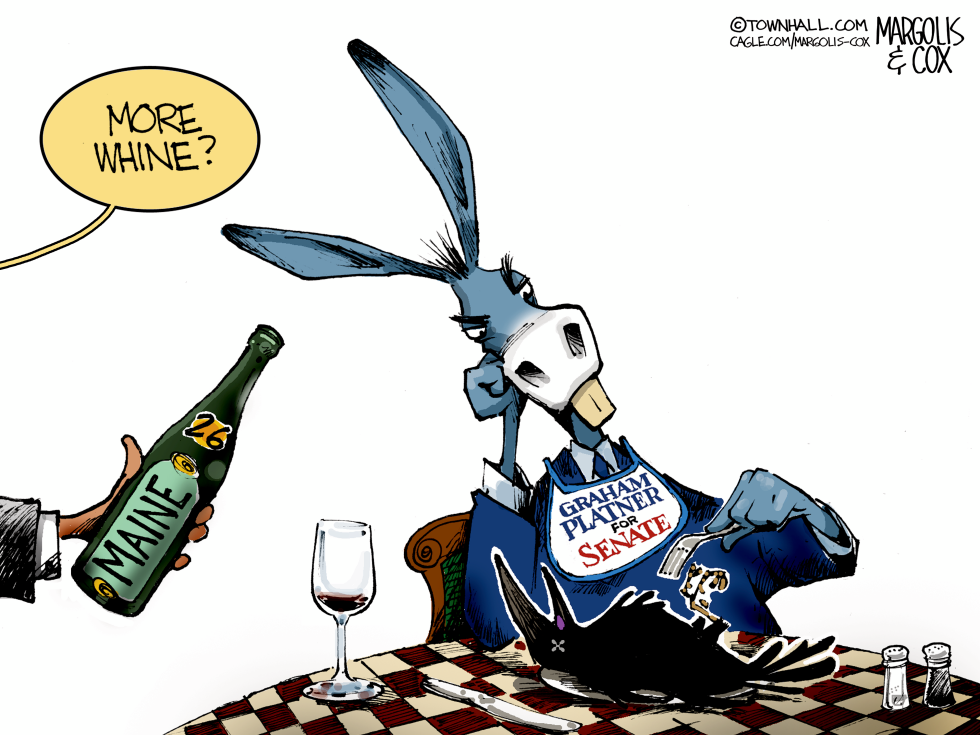 Democrat Offered More Whine After Maine Senate Loss
