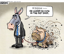 DONKEY REGRETS PET SHOP PURCHASE by Steve Sack