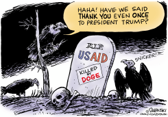 VULTURES MOCK USAID TOMBSTONE AFTER DOGE by Paul Duginski