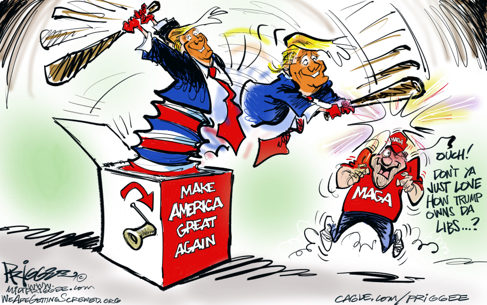 Owning da Libs
