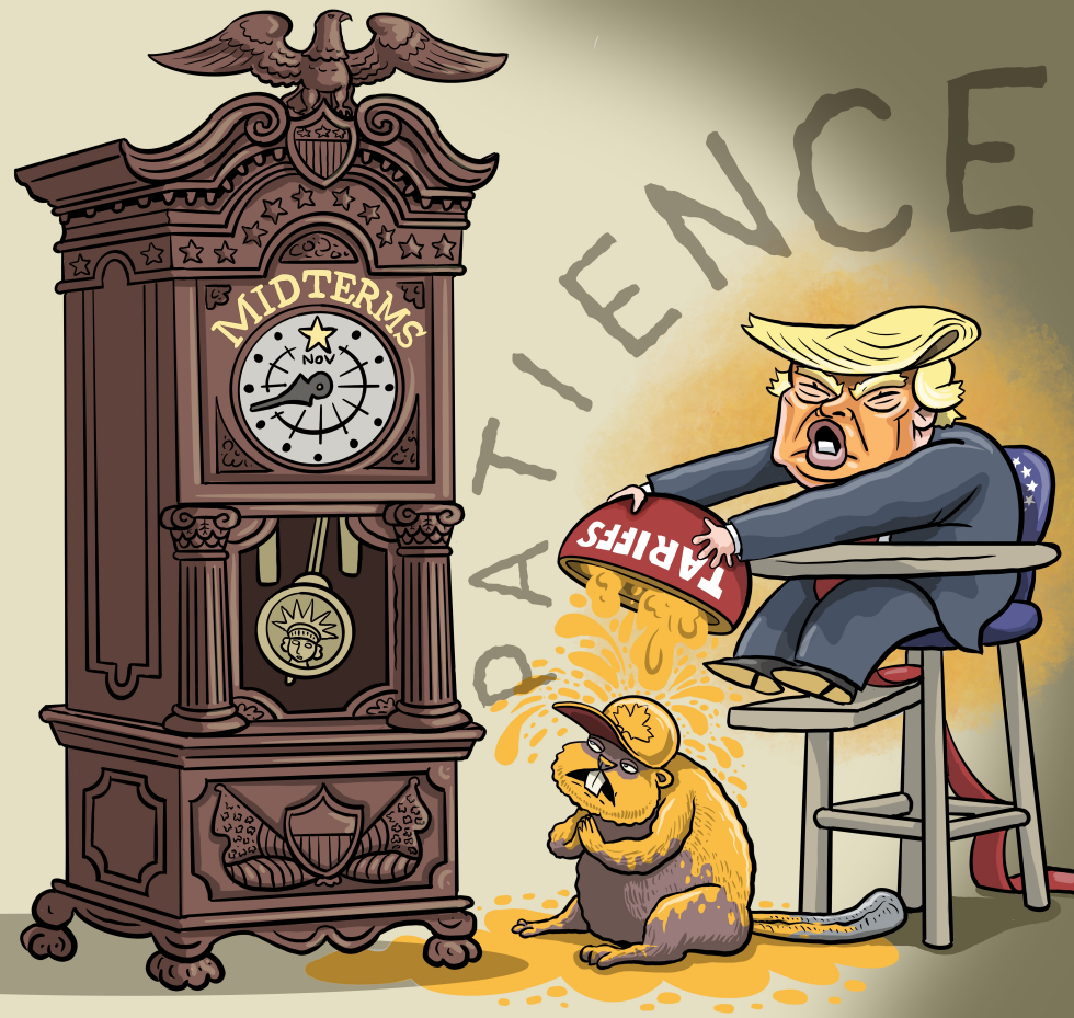 Canadian beaver is patient for midterms