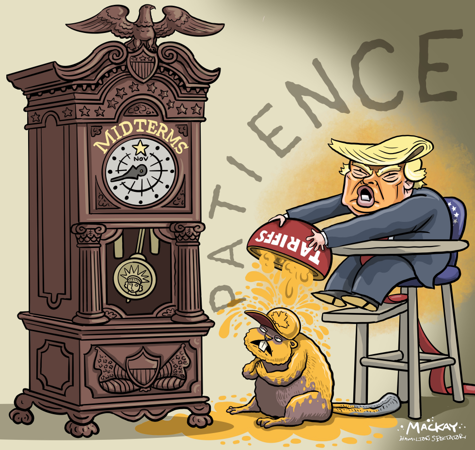 Canadian beaver is patient for midterms