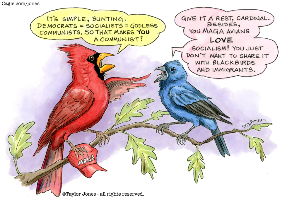 Songbirds discuss socialism
