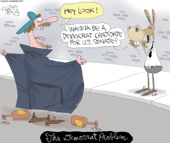 FLASHER RECRUITED AS DEMOCRAT SENATE CANDIDATE by Gary McCoy