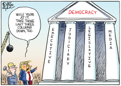TRUMP ORDERS DEMOLITION OF DEMOCRACY PILLARS by Christopher Weyant