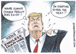 TRUMP FEELS HEAT ON CLIMATE AND IRAN by Dave Granlund