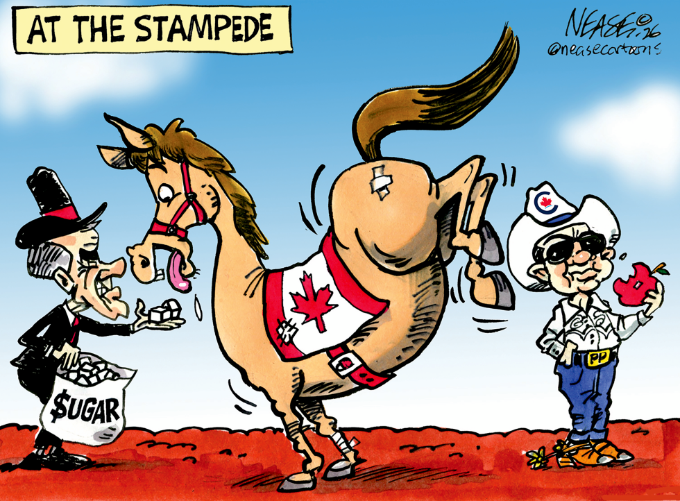 Canada Rejects Sugar Offer at Stampede Showdown