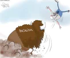 SOCIALISM BISON FLIPS PERSONAL HAPPINESS by Gary McCoy