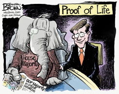 PROOF OF LIFE FOR HOUSE MAJORITY by Jonathan Brown