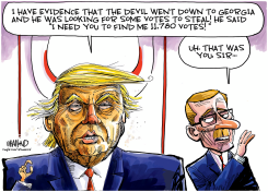 TRUMP GEORGIA VOTER FRAUD CLAIMS by Dave Whamond