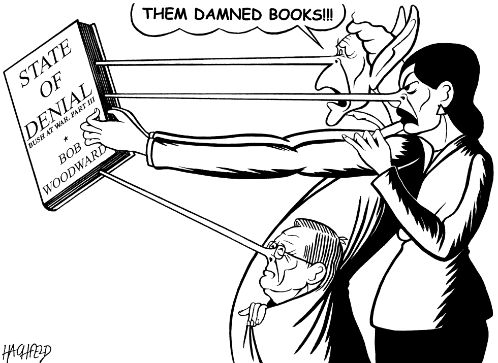 Woodward book
