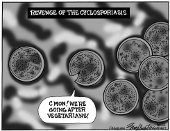CYCLOSPORIASIS PARASITES TARGET VEGETARIANS by Bob Englehart