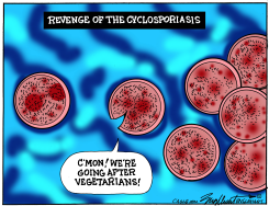 CYCLOSPORA PARASITES TARGET VEGETARIANS by Bob Englehart
