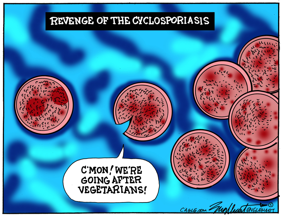 Cyclospora Parasites Plot Attack on Vegetarians