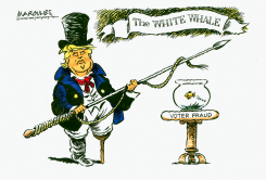 TRUMP HARPOONS VOTER FRAUD WHITE WHALE by Jimmy Margulies