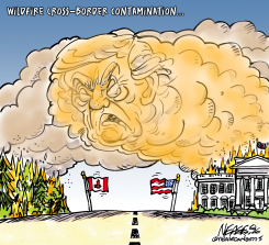 TRUMP WILDFIRE SMOKE CROSSES BORDER by Steve Nease
