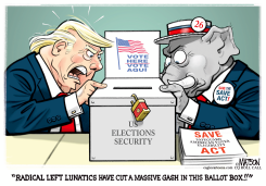 TRUMP BLAMES LEFT FOR BALLOT BOX DAMAGE by R.J. Matson