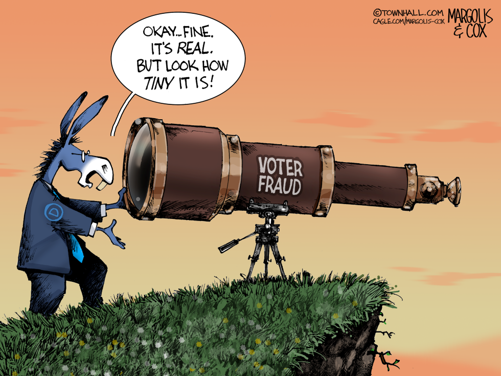 Democrat Uses Telescope to Downplay Voter Fraud Scale