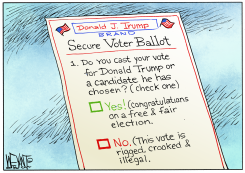 TRUMP BRANDED SECURE VOTER BALLOT by Christopher Weyant