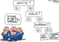 SUPREME COURT NOMINEE SELECTION FLOWCHART by Pat Bagley