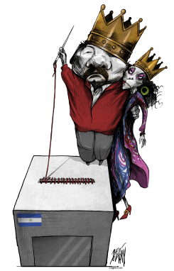 GOODBYE ELECTIONS by Angel Boligan
