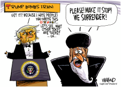 TRUMP BOMBS IRAN by Dave Whamond