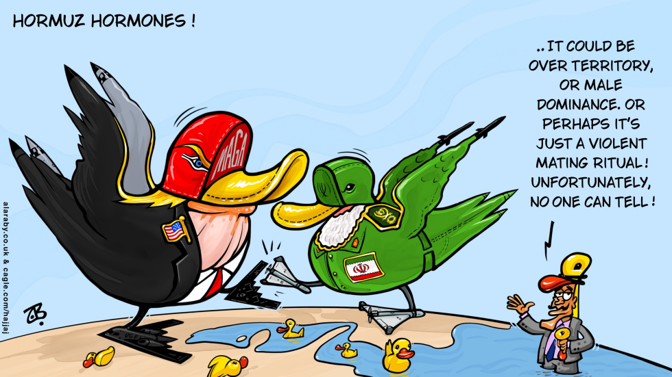 US and Iran Clash Symbolized as Birds Fighting Over Hormuz