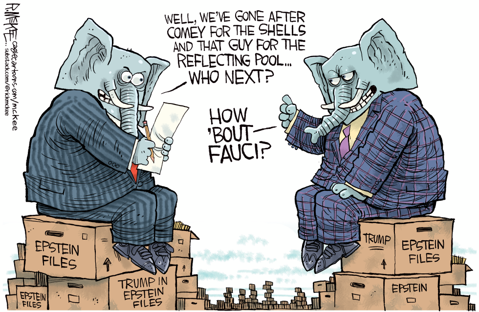 GOP Focuses on Fauci Probe While Epstein Files Remain Unexamined