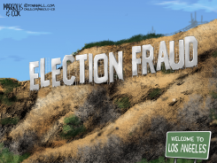 ELECTION FRAUD IN LOS ANGELES by Margolis & Cox