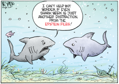 SHARKS QUESTION SHARK WEEK EPSTEIN DISTRACTION by Christopher Weyant