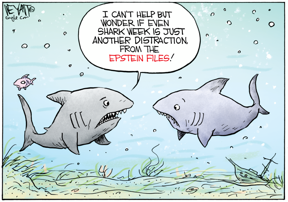 Sharks Float Theory That Shark Week Masks Epstein Files Release