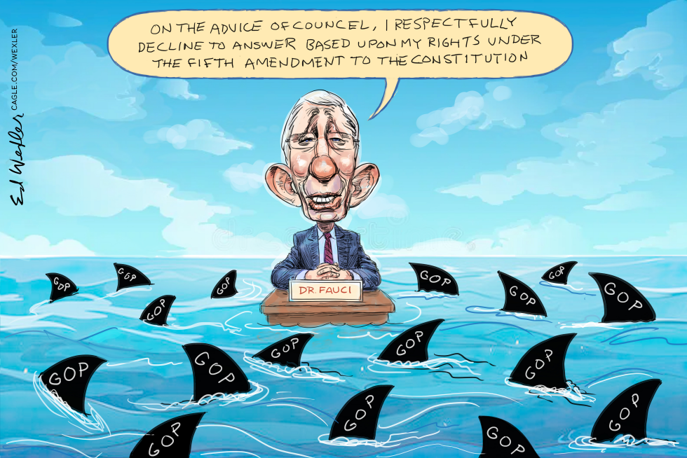 Fauci pleads the Fifth to GOP sharks