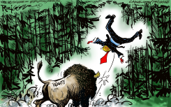 REALITY BISON TOSSES TRUMP by Milt Priggee
