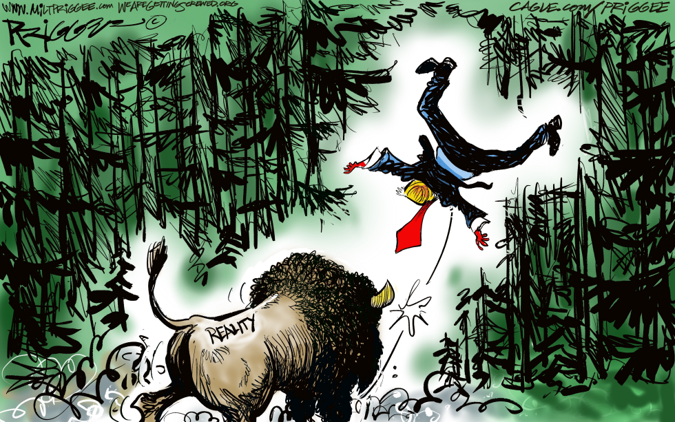 Reality Bison Tosses Trump