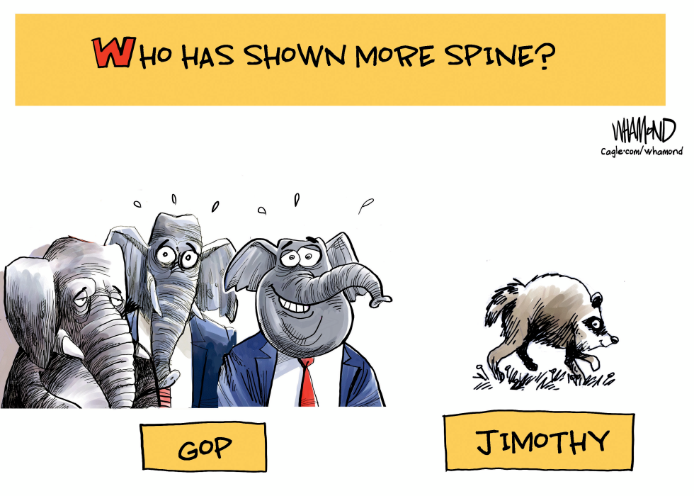 GOP Elephants Face Spine Comparison to Jimothy Raccoon