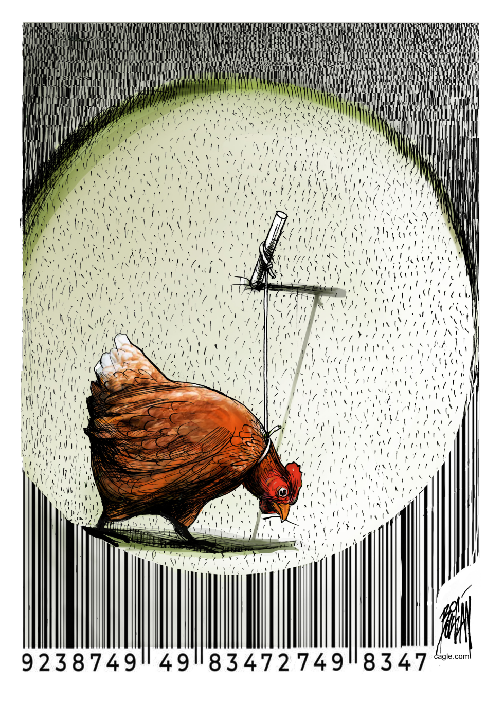 Free-range, pasture-raised chicken