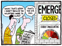 ER CLOSURES FROM PHYSICIAN BURNOUT by Ingrid Rice