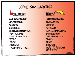 EERIE SIMILARITIES WILDFIRE TRUMP COMPARISON by Ingrid Rice