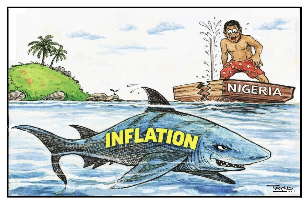 Nigeria inflation shark