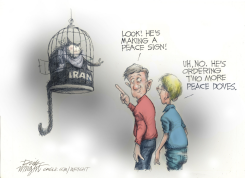 IRAN CAT PEACE SIGN MISREAD by Dick Wright