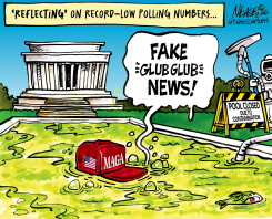 MAGA POLLING SINKS AMID CONTAMINATED REFLECTION AT LINCOLN MEMORIAL by Steve Nease